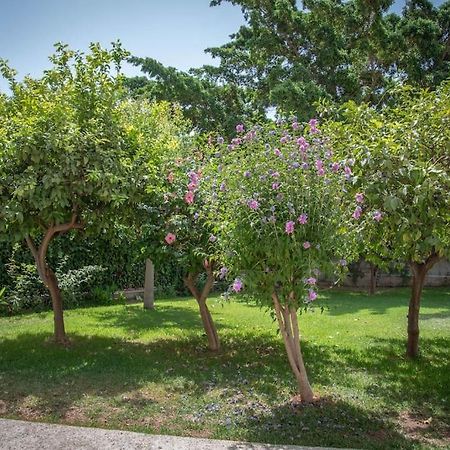 Piso Con Jardin Διαμέρισμα Μάλαγα Εξωτερικό φωτογραφία