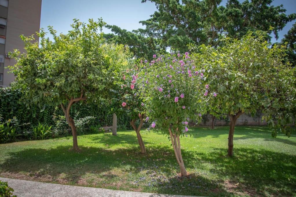 Piso Con Jardin Διαμέρισμα Μάλαγα Εξωτερικό φωτογραφία